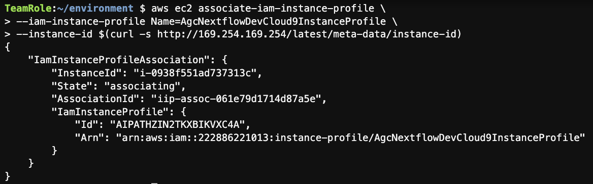 attach-iam-instanceprofile-output