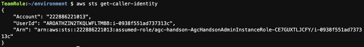 attach-instanceprofile-sts-output